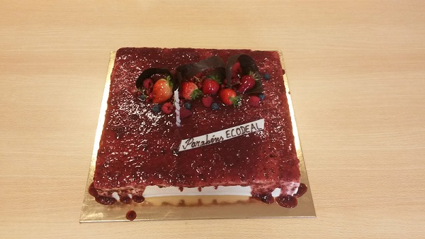 8 aniversário ecodeal