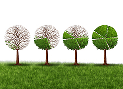 Como é feita a Resolução de Passivos Ambientais?